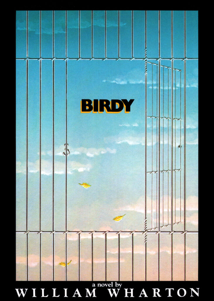 Book cover of Birdy